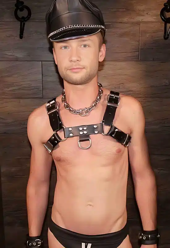 patrick bauer german gay adult model